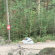 Illustration for article titled Hunting For Crashes With The 'Professional Spectators' Of Rally Finland